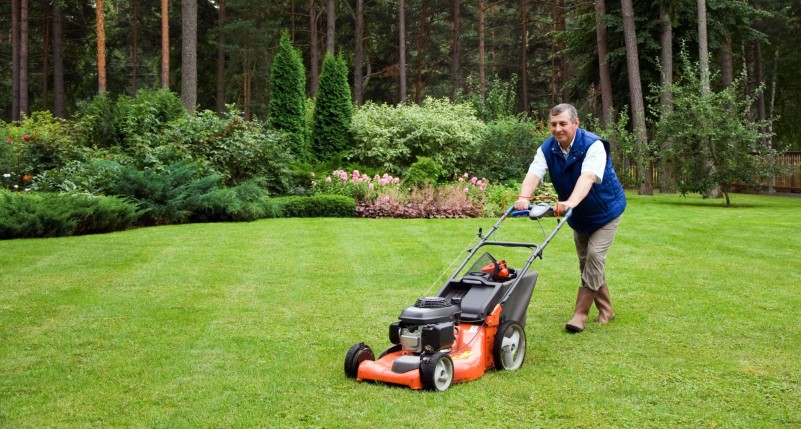 How Small Businesses Can Benefit From Hiring A Professional Lawn Mower In Houston