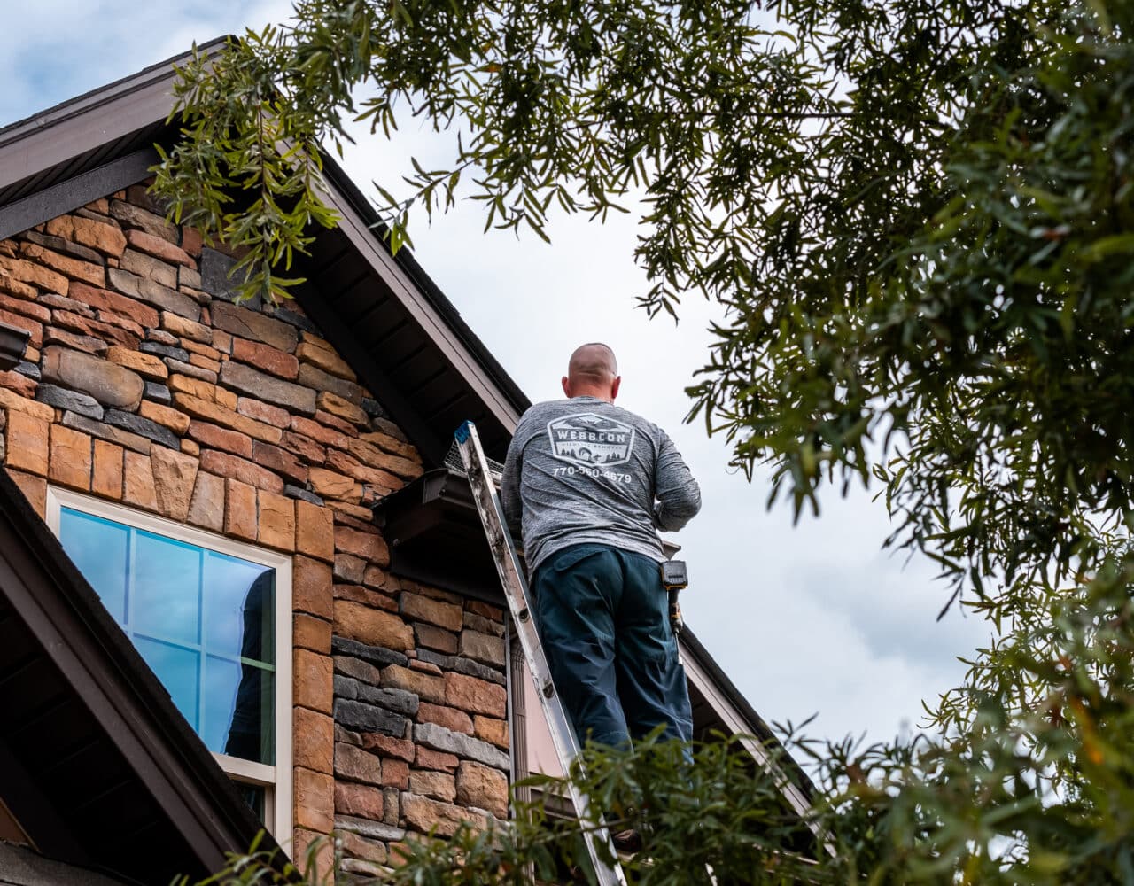 Options for Getting Rid of Squirrels in Newnan, GA
