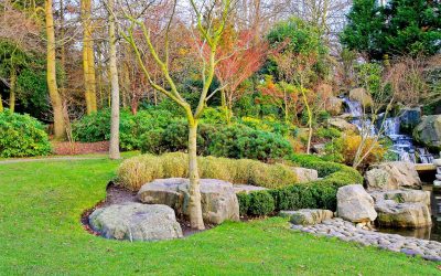 Achieve the perfect yard with landscaping services in Fresno, CA