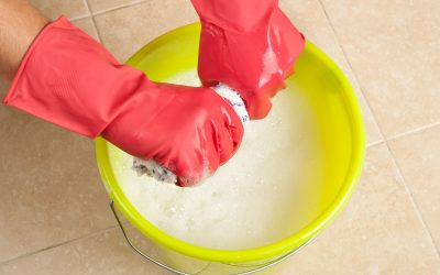 Benefits of Professional Sugar Land Cleaners for Busy Households