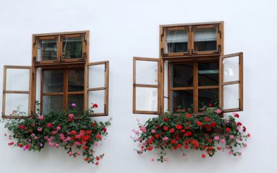 Experience Enhanced Curb Appeal With Wood Windows In Baltimore MD