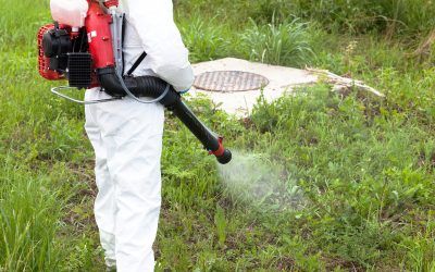 Pest Control Services in Land O Lakes FL: Protecting the Home Perimeter
